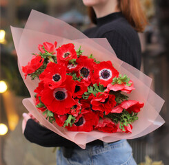 Bouquet of flowers, colored red anemone. Beautiful mono bouquet of big anemones