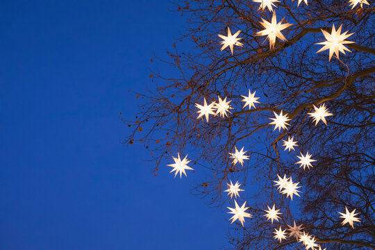 Tree branches decorated with star shaped Christmas lights glowing outdoors at night