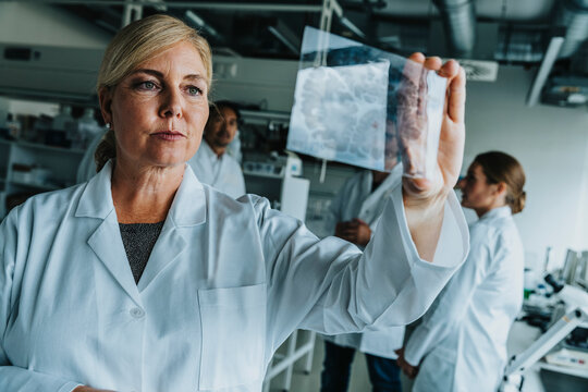 Female scientist examining human brain slide while standing with coworker in background at laboratory