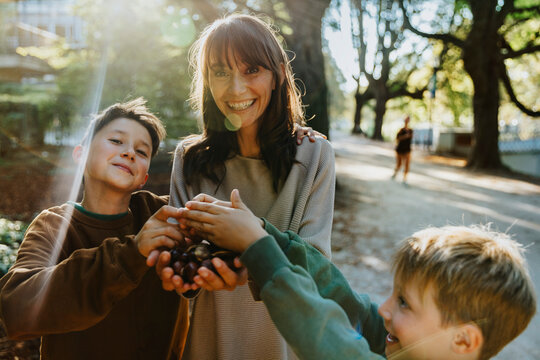 Smiling mother and sons collecting chestnuts while standing in public park