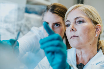 Scientist and assistant discussing while examining human brain microscope slide at laboratory