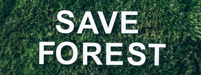 Fototapeta premium Inscription Save Forest on moss, green grass background. Top view. Copy space. Banner. Biophilia concept