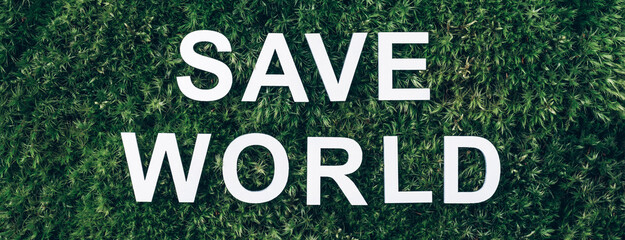 Inscription Save world on moss, green grass background. Top view. Copy space. Banner. Biophilia concept. Nature backdrop