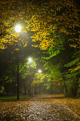 Autumn night in the park