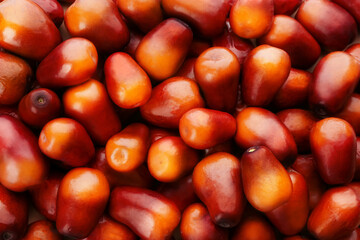 Fresh ripe palm oil fruits as background, top view