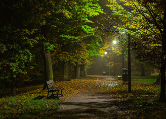 Autumn night in the park