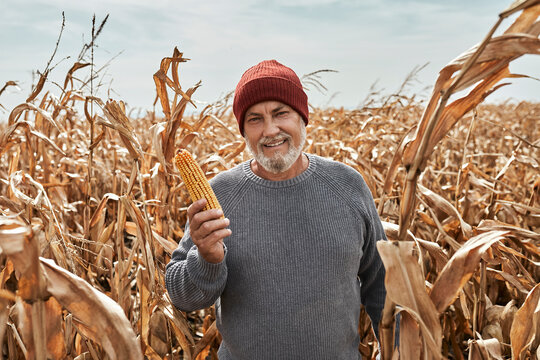 Smiling farmer holding corn while standing at farm