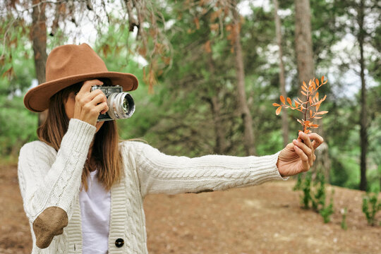 Woman photographing Pistacia Lentiscus leaves through vintage camera in forest