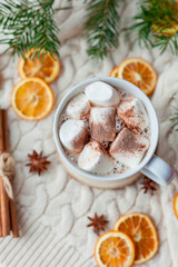 Fototapeta na wymiar Christmas home decor. Cocoa with marshmallows.