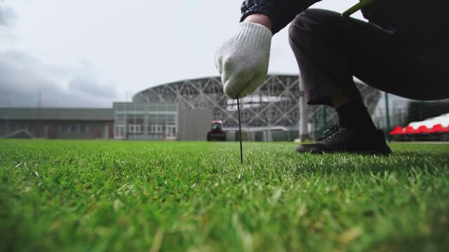 Worker checks lawn grass in a football stadium