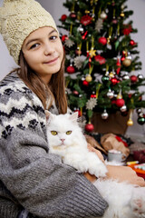 A girl is sitting next to the Christmas tree with a beautiful white Persian cat.