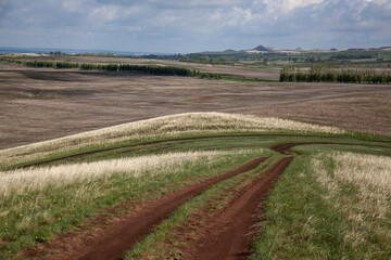 Open spaces of Bashkortostan. Hilly terrain. Winding dirt road. Small areas of forest. Lots of free space for insertion.