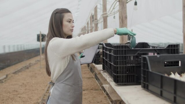 Smart agriculture measure moisture