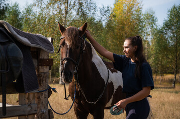 Fototapeta premium On a warm autumn morning, a rider washes her horse before riding through the field.