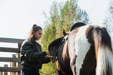 Foto op Canvas The process of saddling a horse is demonstrated by a young instructor a girl in equestrian sports. © Anna Kosolapova