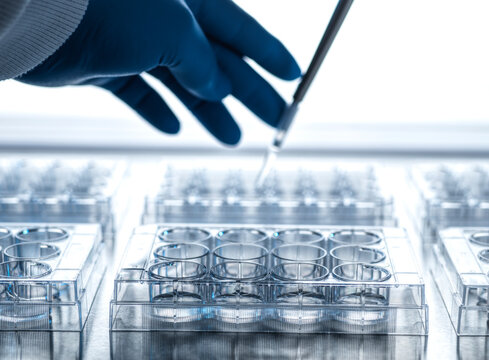 Hand of scientist pipetting sample into microplate