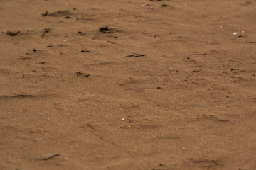 Full screen sand with selective focus on the center of the image