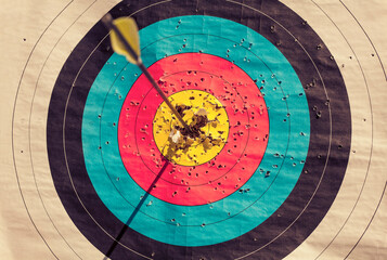 Bulls-eye hit by single arrow