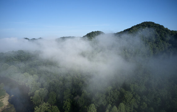 Aerial view of fog floating over forested mountains