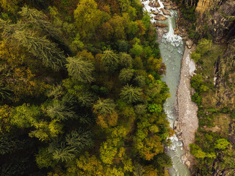 Drone view of green trees growing along Parvati River, India