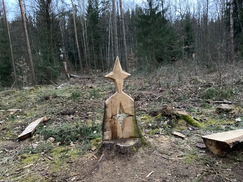 Beautiful yoga figure in the Czech forest near Milevsko