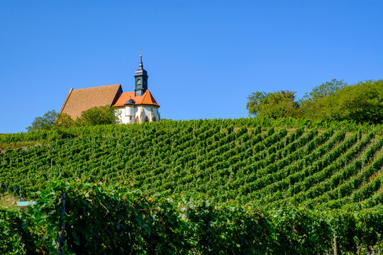 Vineyard with church on sunny day
