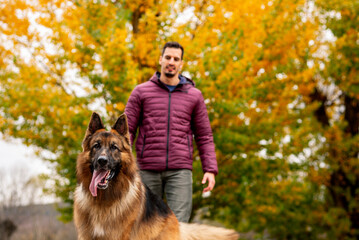 German shepherd standing with man in background at park