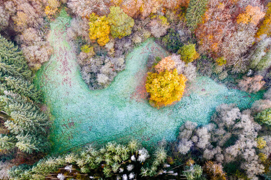 Drone view of turquoise patch of grass in autumn forest at dawn