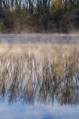 Quiet river water edge with winter leafless tree branches reflected over a tiny fog layer