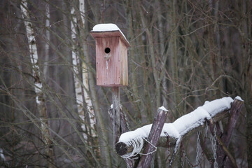 Birdhouse on the background of a winter forest.