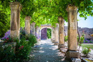 The lavender garden of the old abbey of Abbaye de Saint-Hilaire in Provence, France - obrazy, fototapety, plakaty