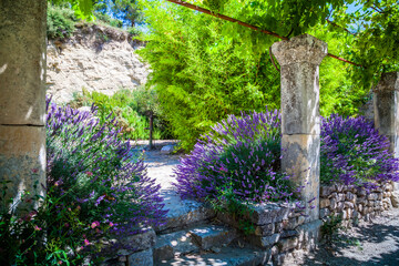 The lavender garden of the old abbey of Abbaye de Saint-Hilaire in Provence, France