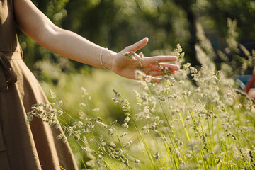Close-up of woman touching grass in the countryside