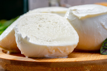 Fresh handmade soft Italian cheese from Campania, white balls of buffalo mozzarella cheese made from cow milk ready to eat