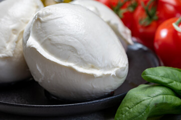 Fresh handmade soft Italian cheese from Campania, white balls of buffalo mozzarella cheese made from cow milk ready to eat