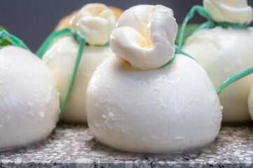 Cheese collection, fresh soft Italian cheese from Puglia, white balls of burrata or burratina cheese made from mozzarella and cream filling