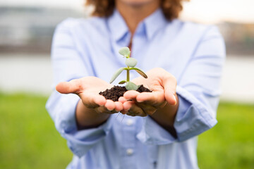 Close-up of female entrepreneur holding sapling