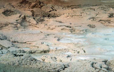 Mud hot spring in Yellowstone National Park