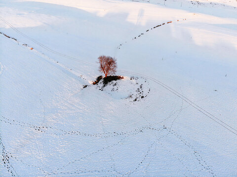 Camporovere, Altopiano di Asiago during winter season. Aerial drone view