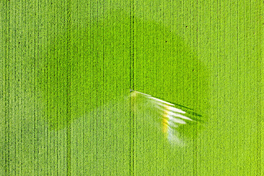Aerial view of sprinkler watering vast potato field in summer