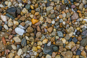 Colorful beach stones and shells 
