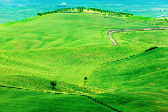 Green rolling landscape with winding road