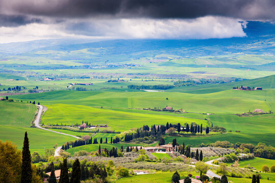 Scenic view of green rolling landscape