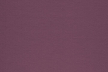 Clean retro paper background. Vintage cardboard texture. Grunge paper for drawing. Simple blank fabric pattern.
