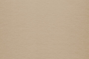 Fototapeta na wymiar Clean retro paper background. Vintage cardboard texture. Grunge paper for drawing. Simple blank fabric pattern.