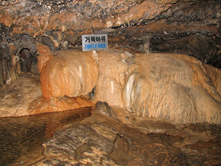 Danyang, South Korea - Turtle rock formation inside Gosu Cave, a limestone cave near Danyang, South Korea formed over 450 million years ago. It is is known as the underground palace.