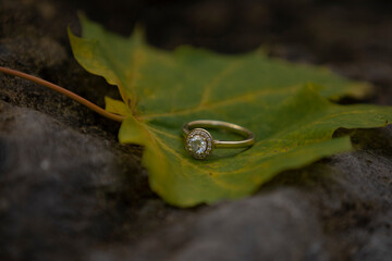 Macro photo of a golden diamond engagement ring resting on a green leaf