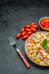 side view of vegetable salad with tomatoes and fork on side and free place for your text on dark grey background