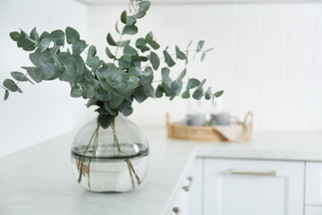 Beautiful eucalyptus branches on countertop in kitchen, space for text. Interior element