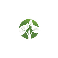 Leaf  ecology Logo Template vector symbol nature
